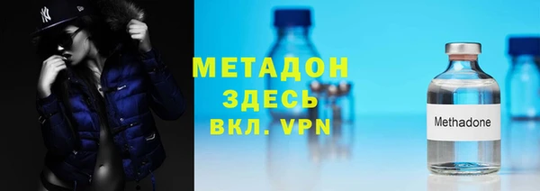 индика Нея