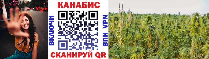 Шишки марихуана White Widow  что такое наркотик  Буйнакск 